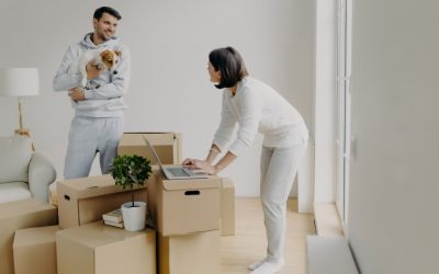 Le fournisseur de carton : un allié pour l’organisation de votre déménagement professionnel